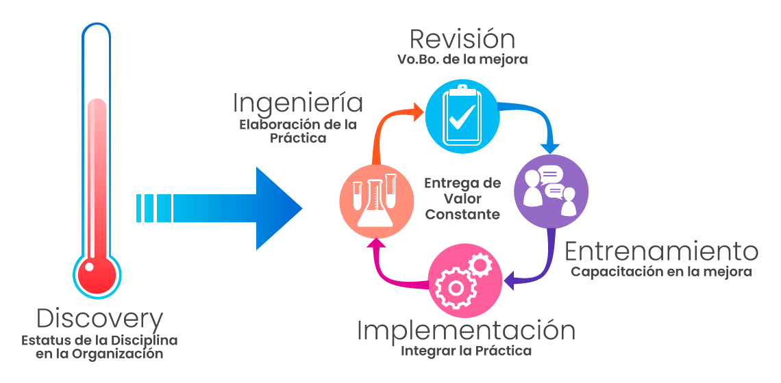 Consultoría En Pruebas De Software 0980